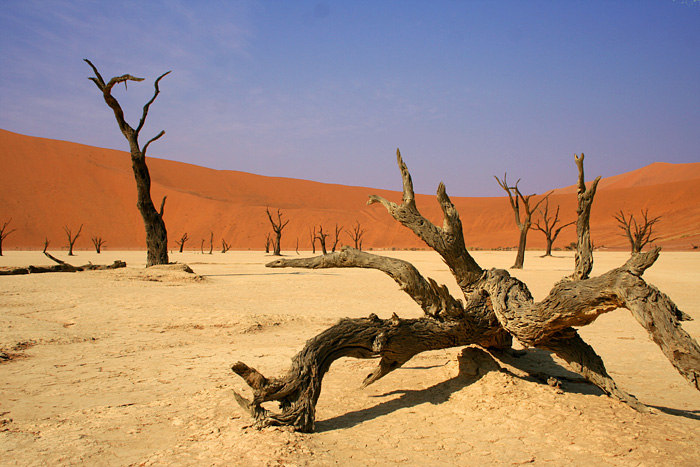 Dead Vlei - poušť Namib
