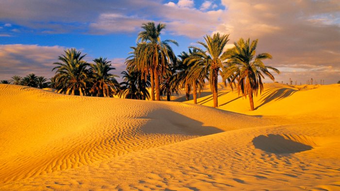 Maroko, Sahara - 12245-sahara.jpg