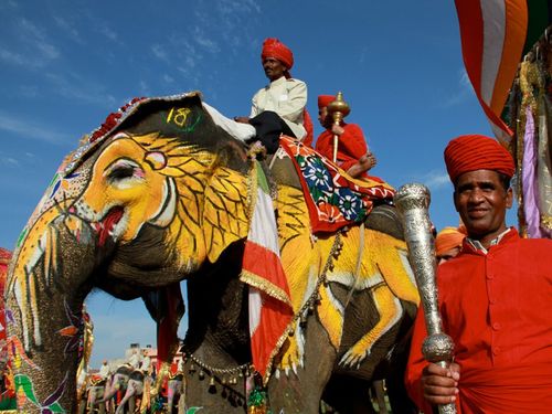 Indie, indický slon - 5341-indicky-slon.jpg