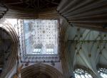 Katedrla v Yorku - klenba
