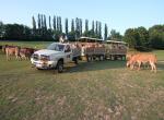 Safari park Dvůr Králové - Afrika truck