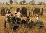 Nrodn park Zambezi, safari - 