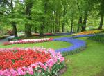 Keukenhof - největší květinový park na světě