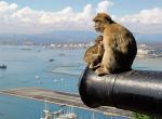 Gibraltar - 