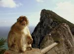 Gibraltar - 
