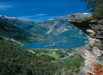 Norsk_fjordy - 