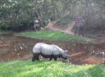 Nepál, Chitwan - Chitwánský národní park je domovem nosorožců