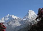 Trek pod Annapurnou (expedice)