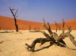 Dead Vlei, poušť Namib