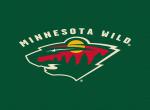 Minnesota Wild, NHL