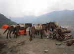 Nepál - Trek, Karavany a nosiči jsou často jediný způsob přepravy materiálu