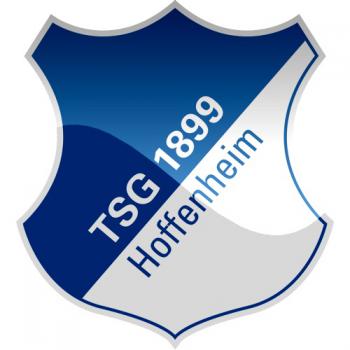 1899 Hoffenheim, logo